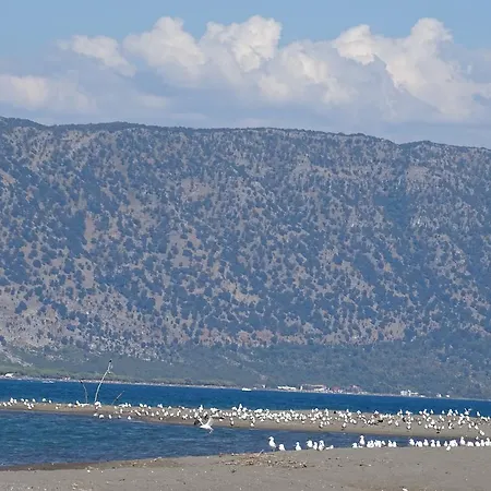 Eden Beach